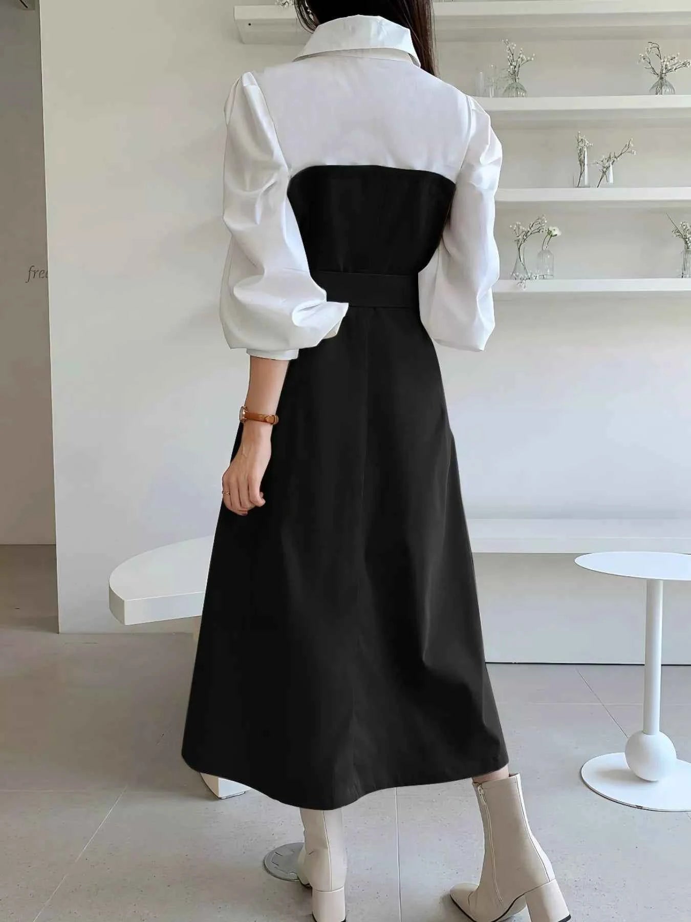 Two Tone Long Sleeve Collared Neck Dress